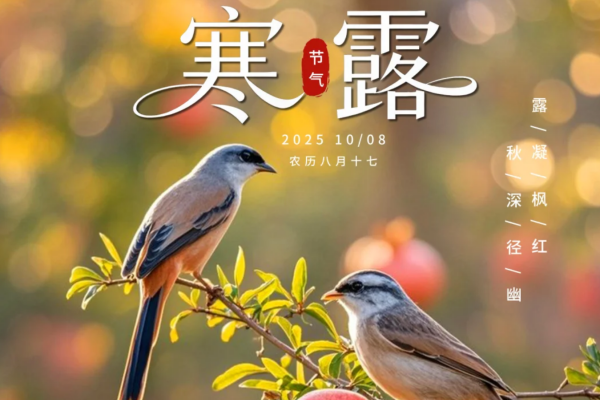 老香港炸鸡：天凉了，该吃顿好的了
